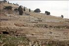 14 Mount of Olives and Cemetary